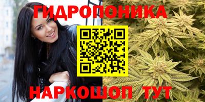 индика Новозыбков