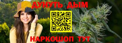 индика Новозыбков