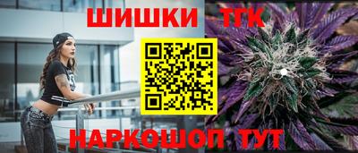 индика Новозыбков