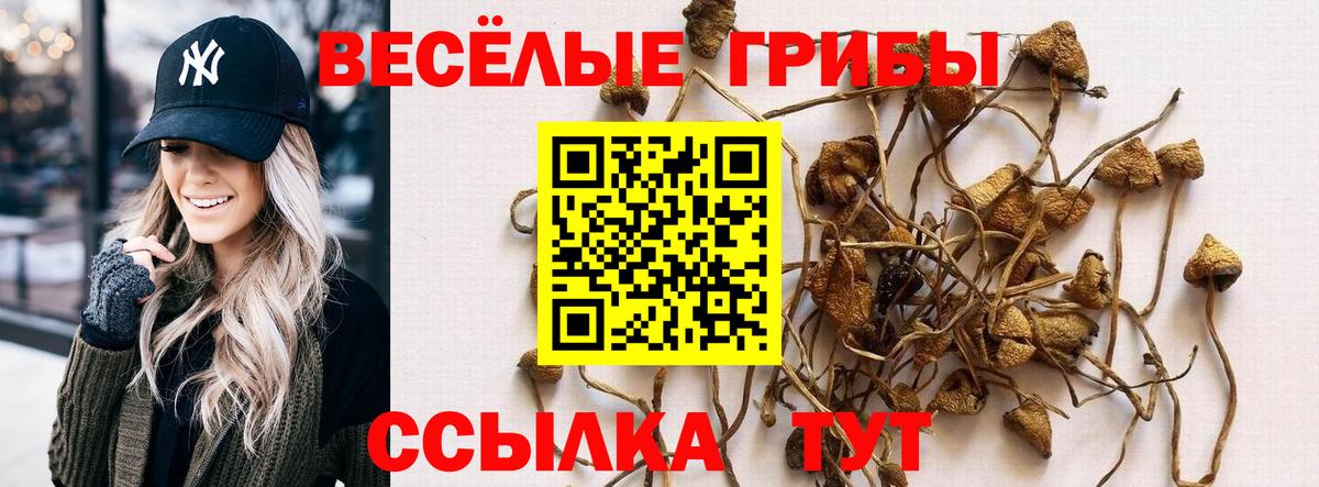 что такое   Вход с VPN  Галлюциногенные грибы GOLDEN TEACHER  Тула  Псилоцибиновые грибы прущие грибы 